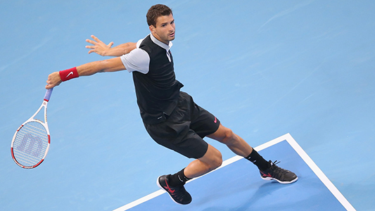 Grigor Dimitrov Beat Pablo Andujar and Plays Novak Djokovic in the Quarterfinals