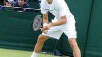 Grigor Dimitrov Defeated Ex No 2 Tommy Haas