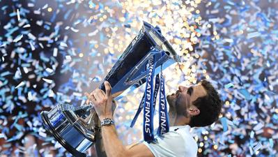 Grigor Dimitrov is the Champion of Nitto ATP Finals