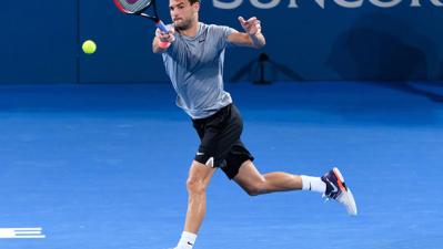 Grigor Dimitrov Advanced to the Quarterfinals in Brisbane