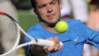 Ferrer Defeated Dimitrov at Indian Wells